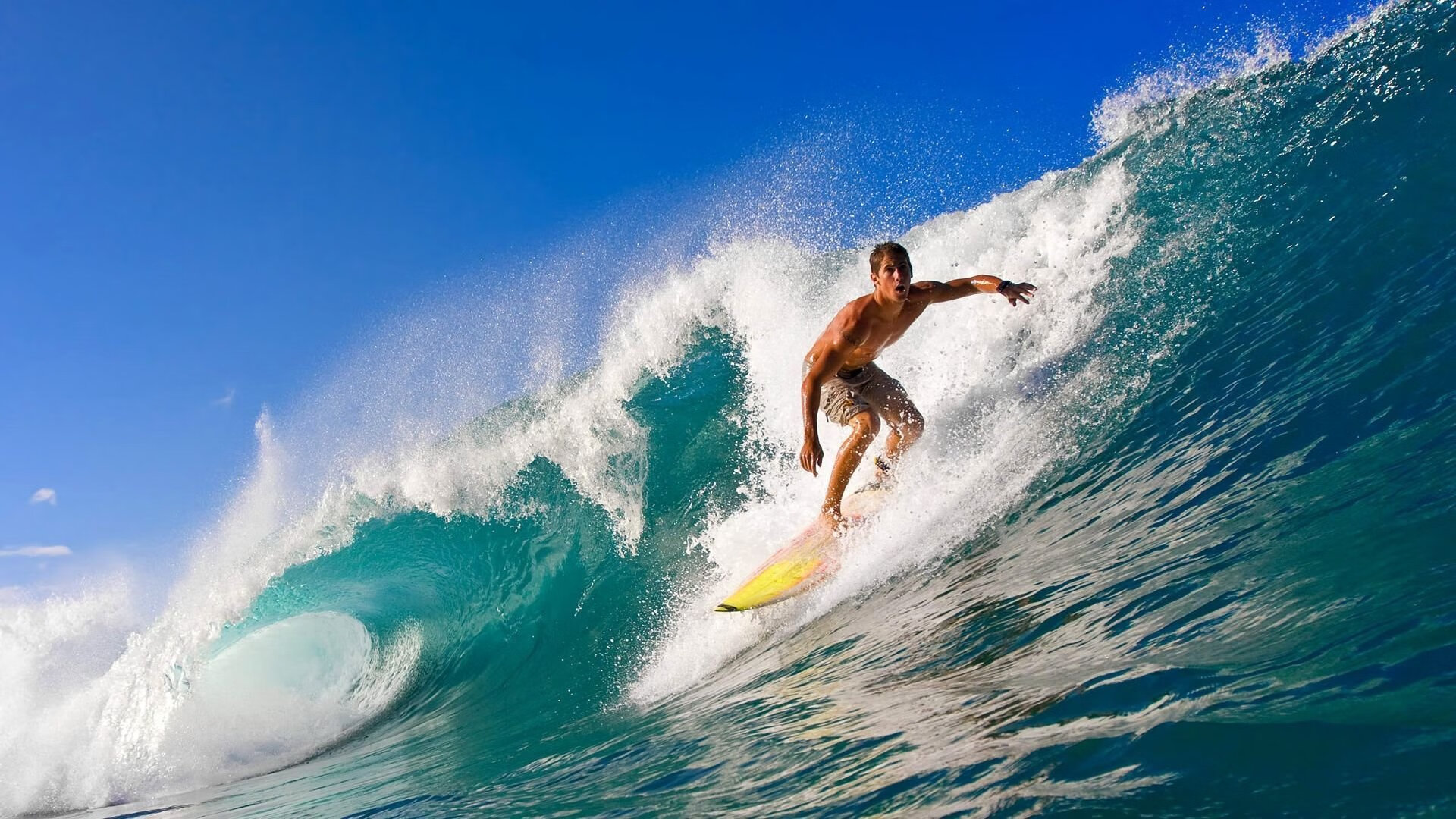 开云官网APP下载-德约称目标仍是大满贯纪录，德约19个大满贯明细